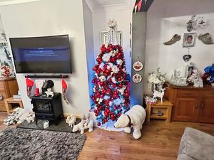 Photo 11- click for photo gallery